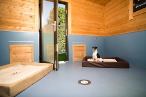 Canis Resort Dog Lodge innen (2)